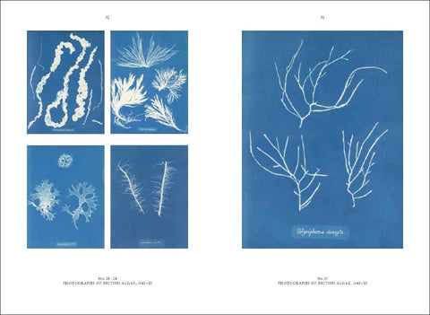 Anna Atkins (Englische Ausgabe)