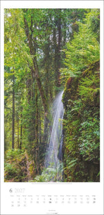 Im Wald Kalender 2027