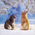 Kaninchen 2027