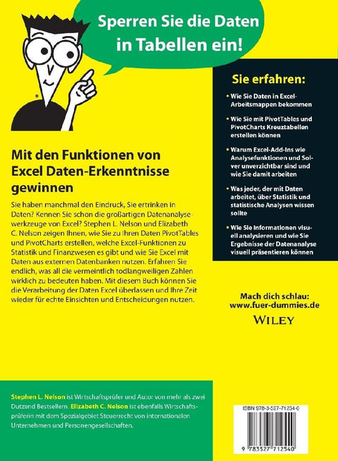 Excel Datenanalyse für Dummies