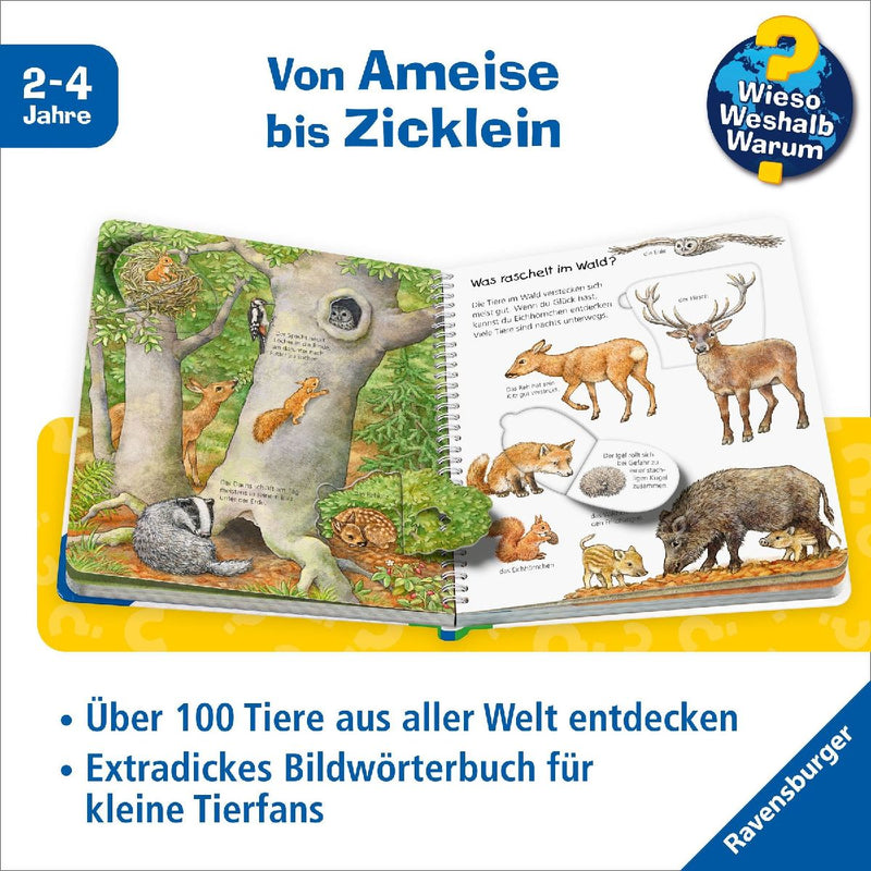 Wieso? Weshalb? Warum? Mein junior-Lexikon: Tiere (Innenansicht)