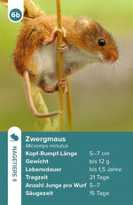 Einheimische Säugetiere - das Quartett-Spiel