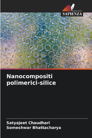 Nanocompositi polimerici-silice