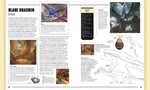 Dungeons & Dragons Das Buch der Drachen (Innenansicht)