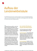 Der Rücken-Doc: Hexenschuss und Ischias (Innenansicht)