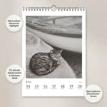 DUMONTS Katzenkalender 2027