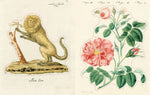 John Derian Sticker Book II (Innenansicht)