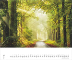 Waldspaziergang 2027