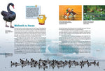 Entdecke Schwäne, Gänse & Enten