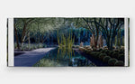 Envisioning Landscapes