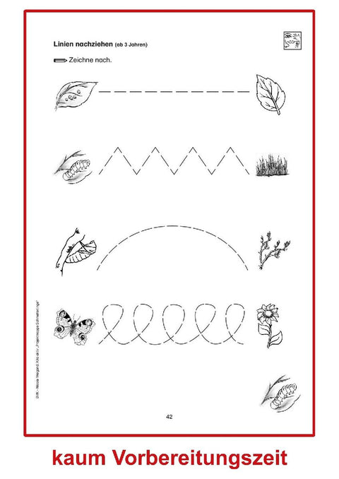 Kita aktiv Projektmappe Schmetterlinge
