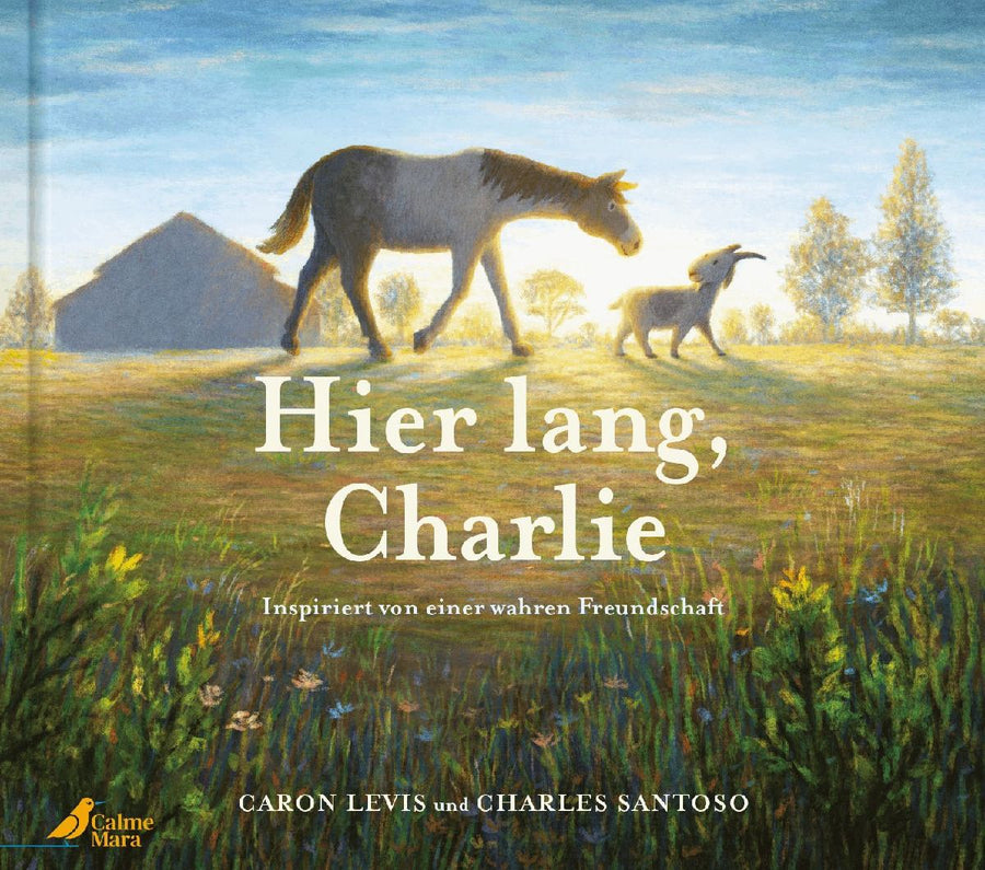 Hier lang, Charlie