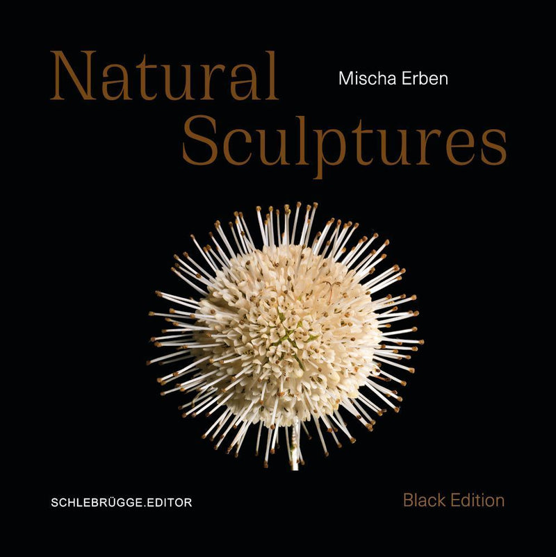 Mischa Erben - Natural Sculptures