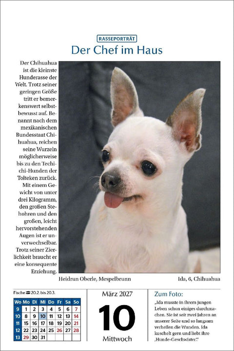 Hunde Tageskalender 2027