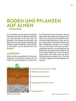 Über die Alm
