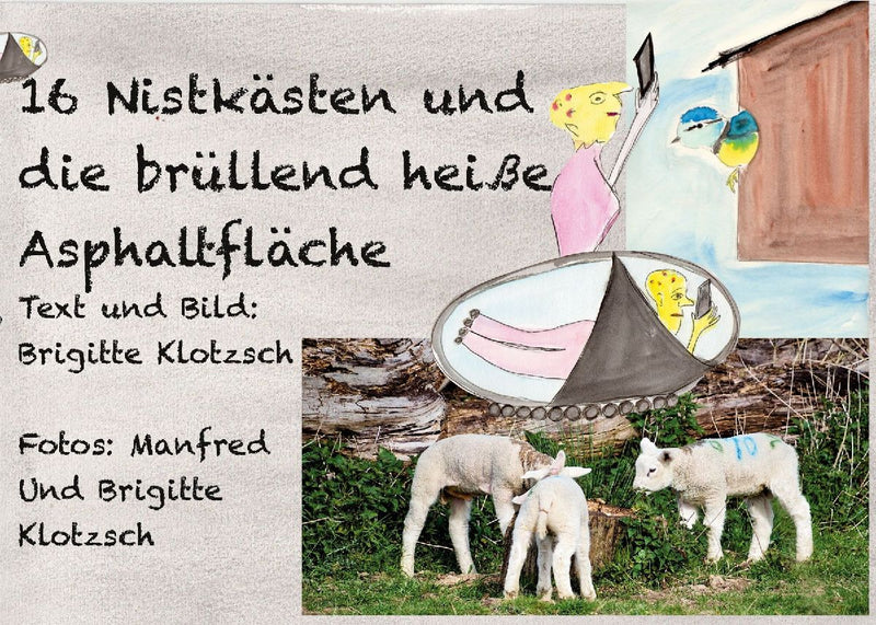 Sechszehn Nistkästen und die brüllend heiße Asphaltfläche
