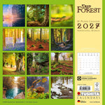 Deep Forest 2027