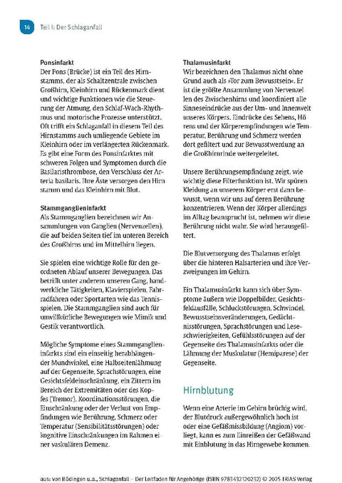Schlaganfall - Der Leitfaden für Angehörige