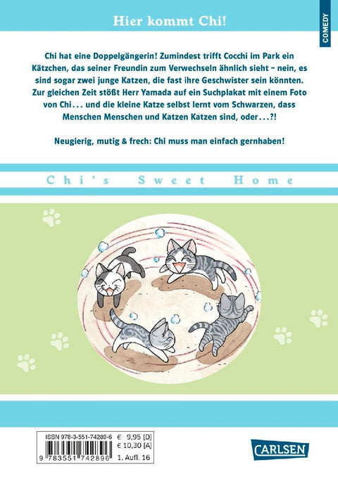 Kleine Katze Chi 10