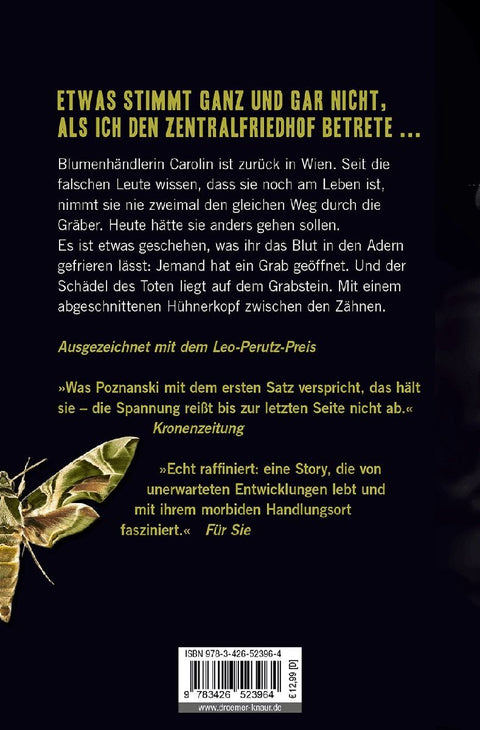 VANITAS - Grau wie Asche