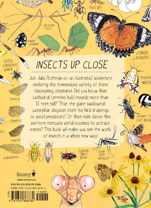 Insect Anatomy