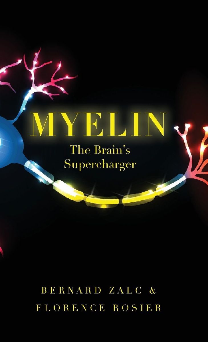 Myelin