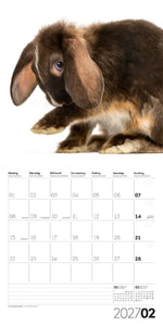 Animals Kalender 2027 - 30x30 - Art12