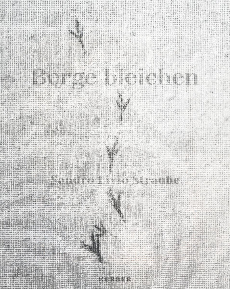 Sandro Livio Straube