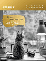 Wochenkalender 2027: Goldene Katzenweisheiten für jeden Tag (Innenansicht)