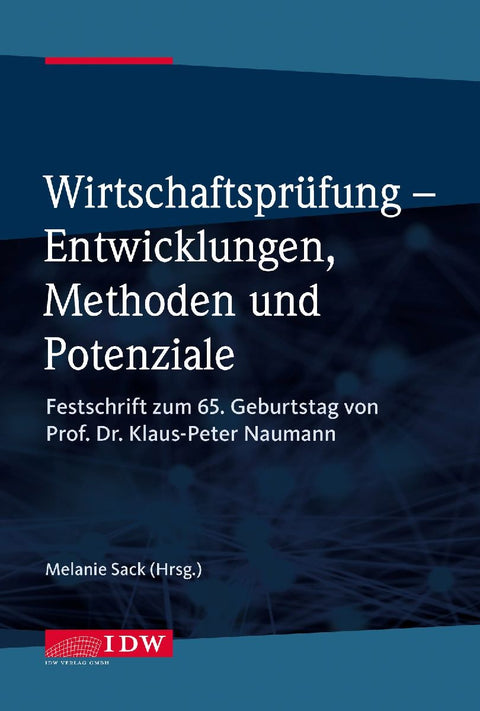Wirtschaftsprüfung - Entwicklungen, Methoden und Potenziale
