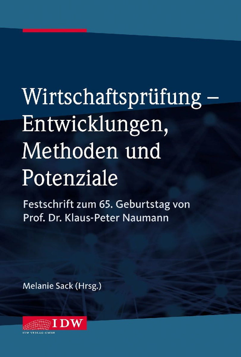 Wirtschaftsprüfung - Entwicklungen, Methoden und Potenziale