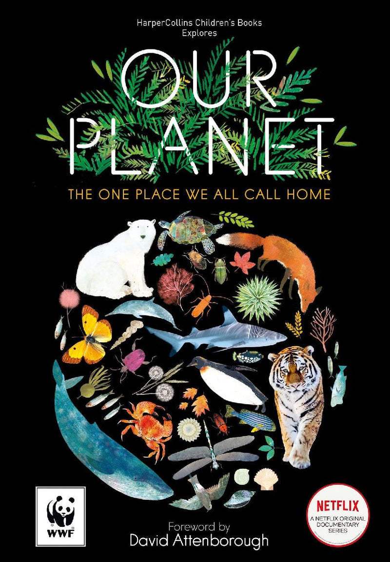 Our Planet