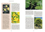 Gartenbotanik