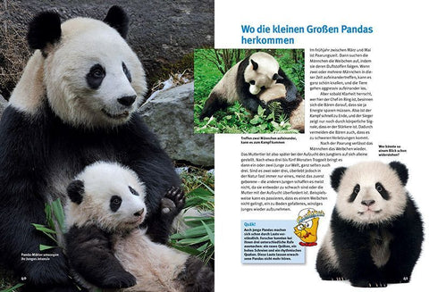 Entdecke die Pandas