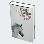 Im ersten Licht (Innenansicht)