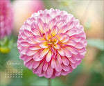 Floral Art 2027