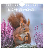 Eichhörnchen 2027
