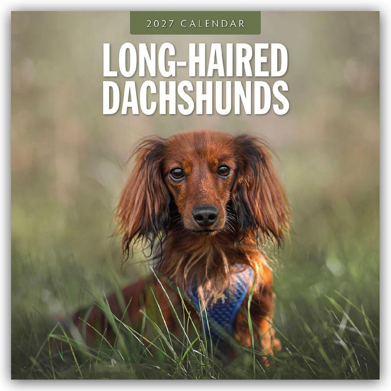 Long-Haired Dachshunds - Langhaardackel 2027 - 16-Monatskalender