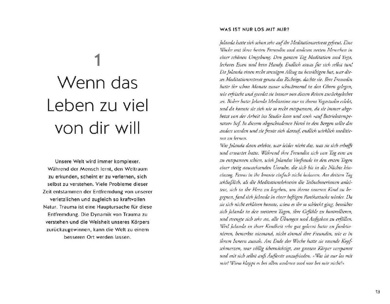 Bin ich traumatisiert? (Innenansicht)
