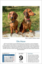 Hunde Tageskalender 2027 (Innenansicht)