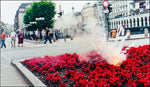 Flowers!