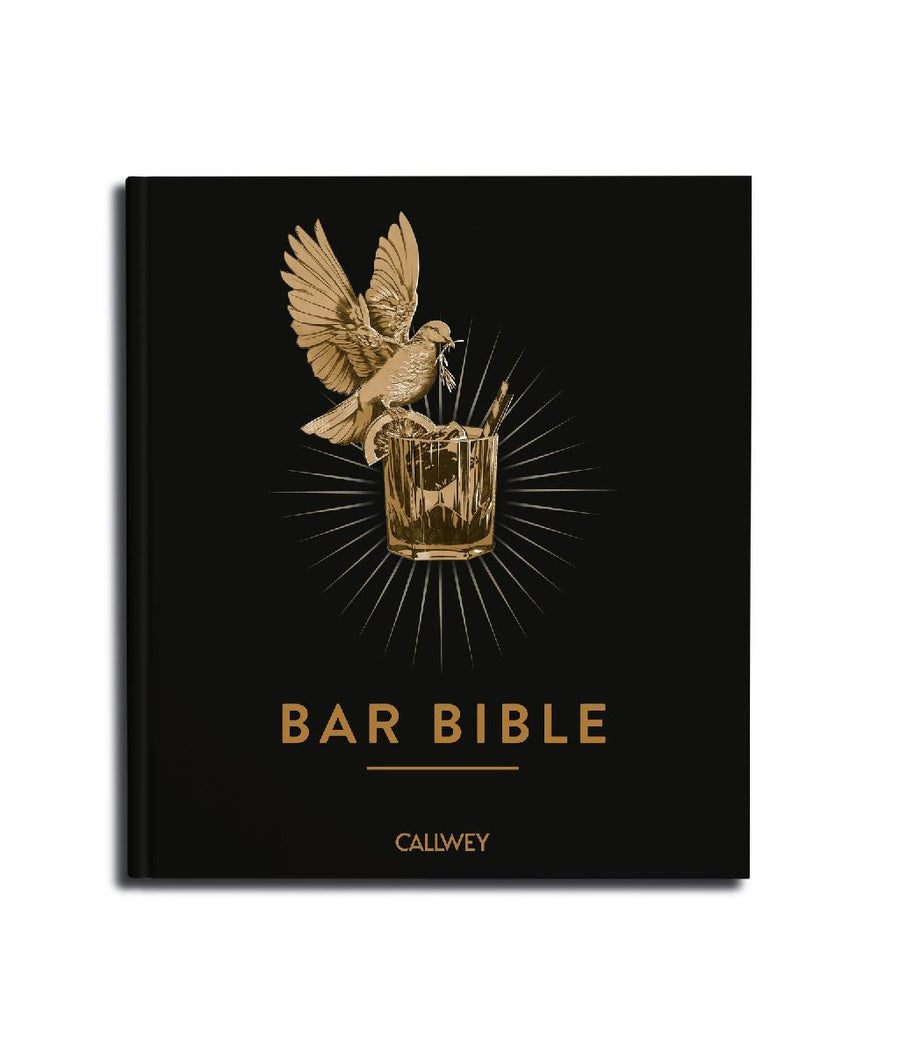 Bar Bible (English Edition)
