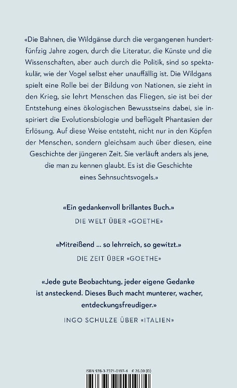Rauschen in der Nacht