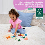EH Montessori Formenpuzzzle