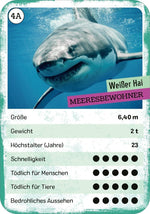 Das tödliche Quartett (Innenansicht)