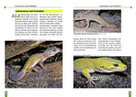 Der Leopardgecko - Eublepharis Macularius (Innenansicht)