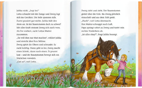 Ponyhof Brombeerwald (Erstlesebuch, Bd. 2)