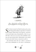 Ruby Fairygale (Band 4) - Das Tor zur Feenwelt (Innenansicht)