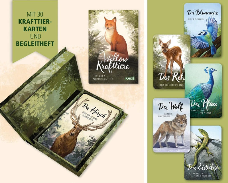 Ein Mädchen namens Willow: Krafttiere (Innenansicht)