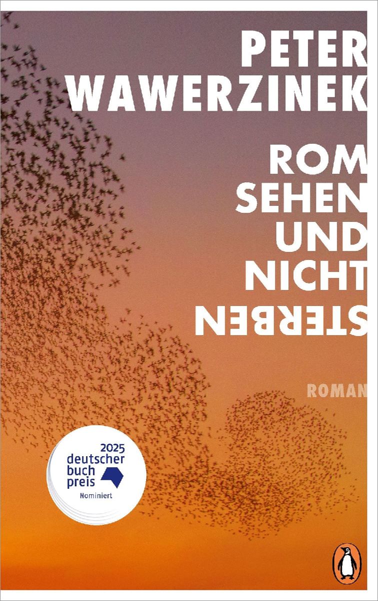 Rom sehen und nicht sterben